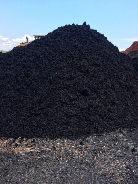 Black Mulch Mound