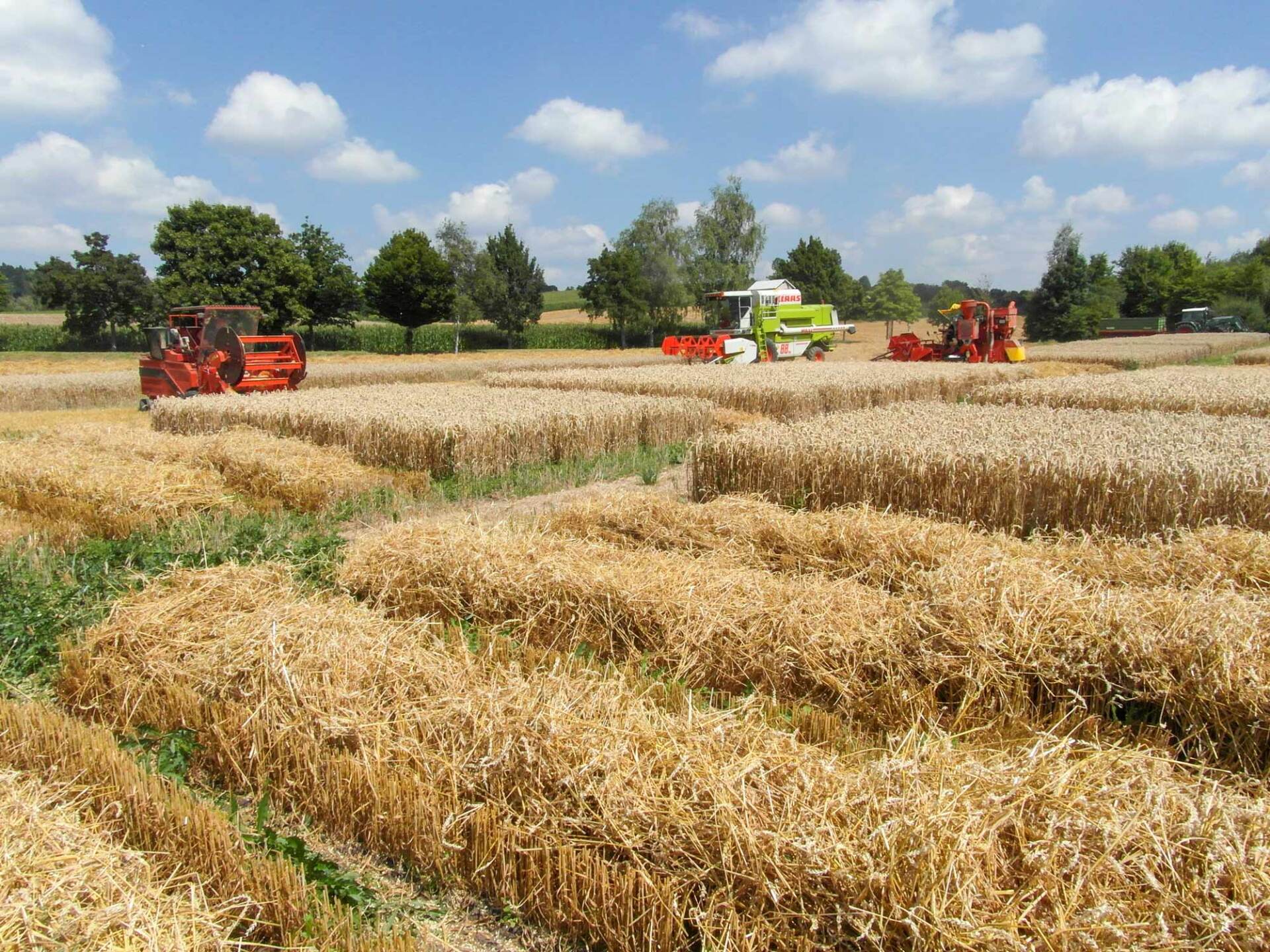 Zwei Traktoren arbeiten auf einem Weizenfeld.