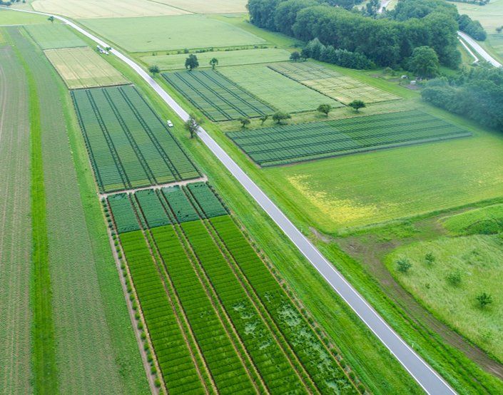 Eine Luftaufnahme einer Straße, die durch ein üppiges grünes Feld führt.