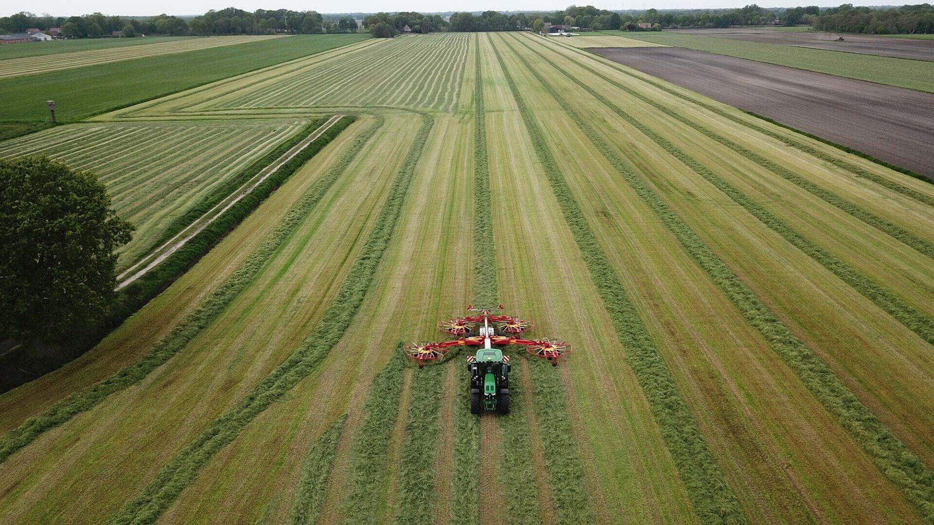 Eine Luftaufnahme eines Traktors, der auf einem Feld Heu schneidet.