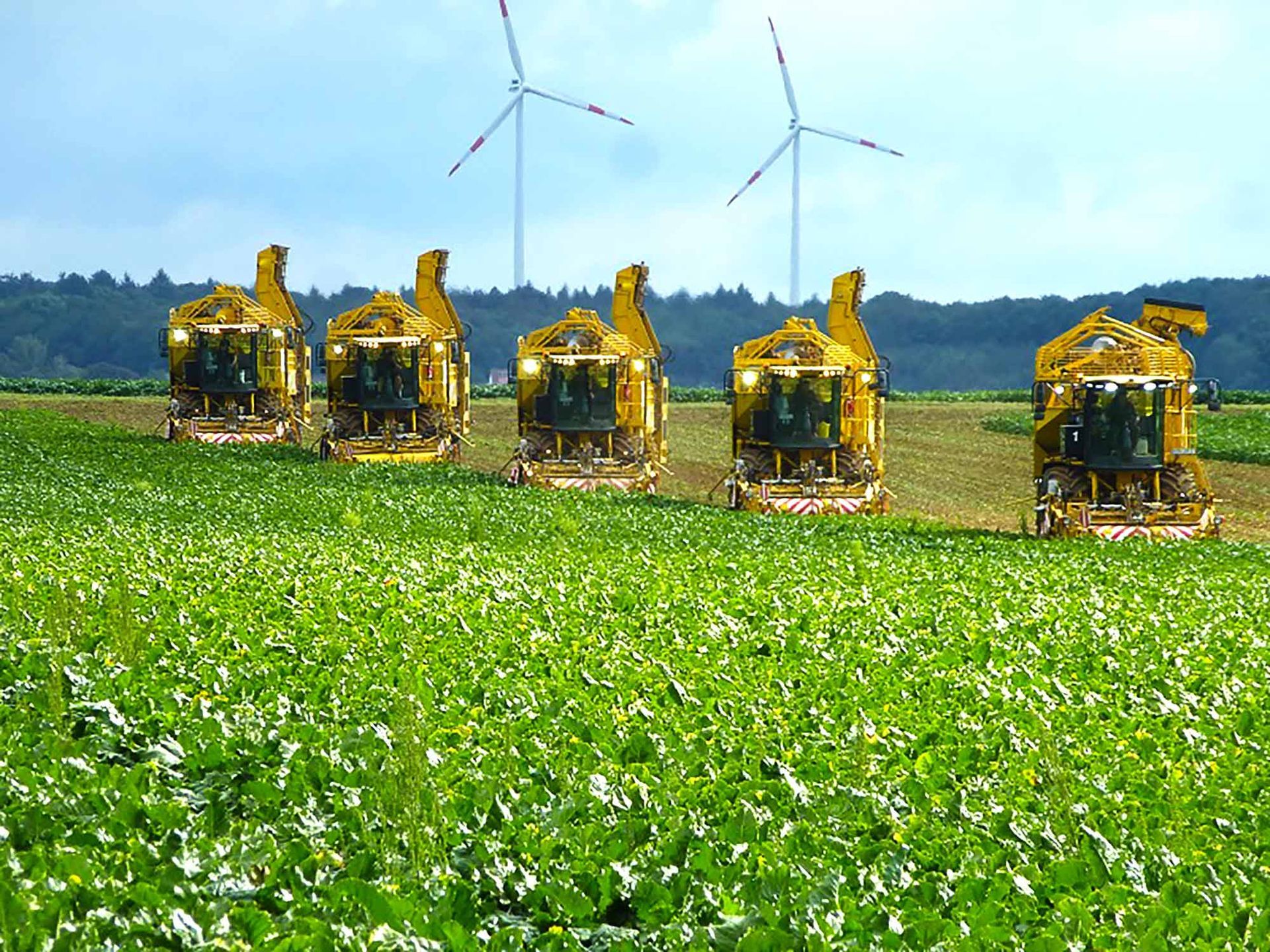 Eine Reihe gelber Traktoren arbeitet auf einem Feld, im Hintergrund sind Windmühlen zu sehen.