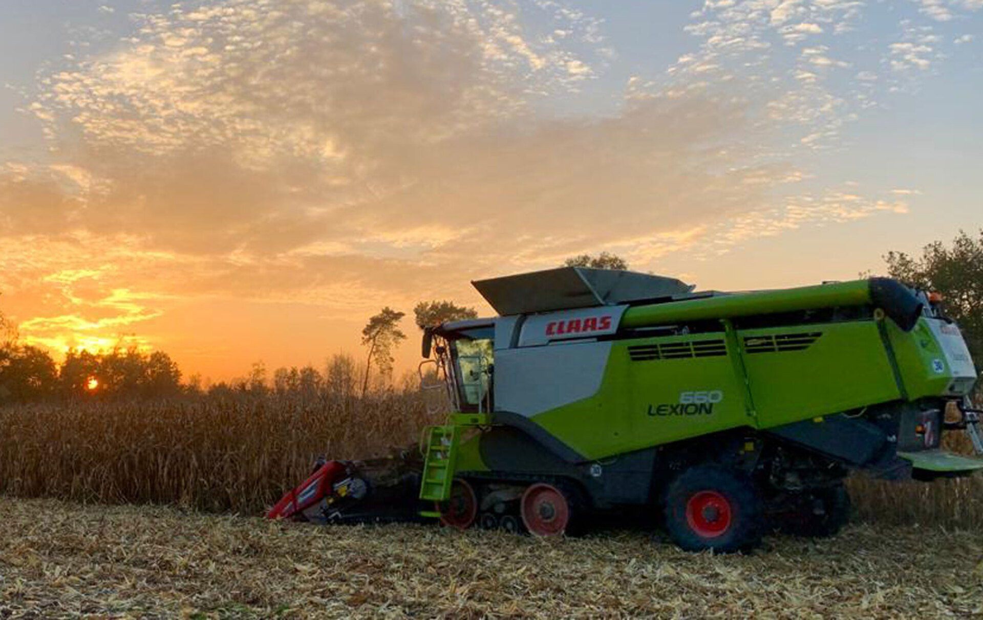 Ein Mähdrescher arbeitet bei Sonnenuntergang auf einem Maisfeld.