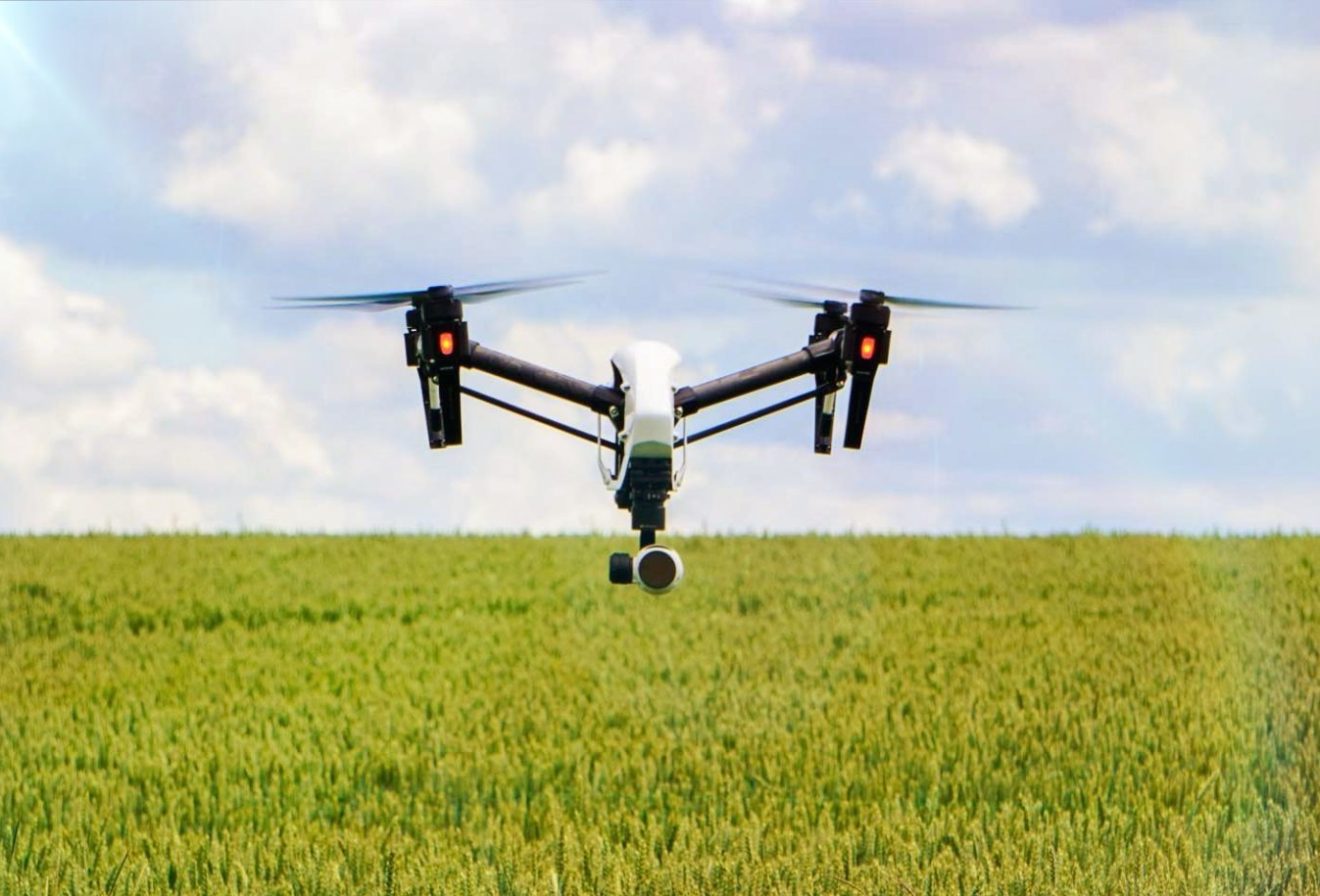 Eine Drohne fliegt über ein grünes Feld.