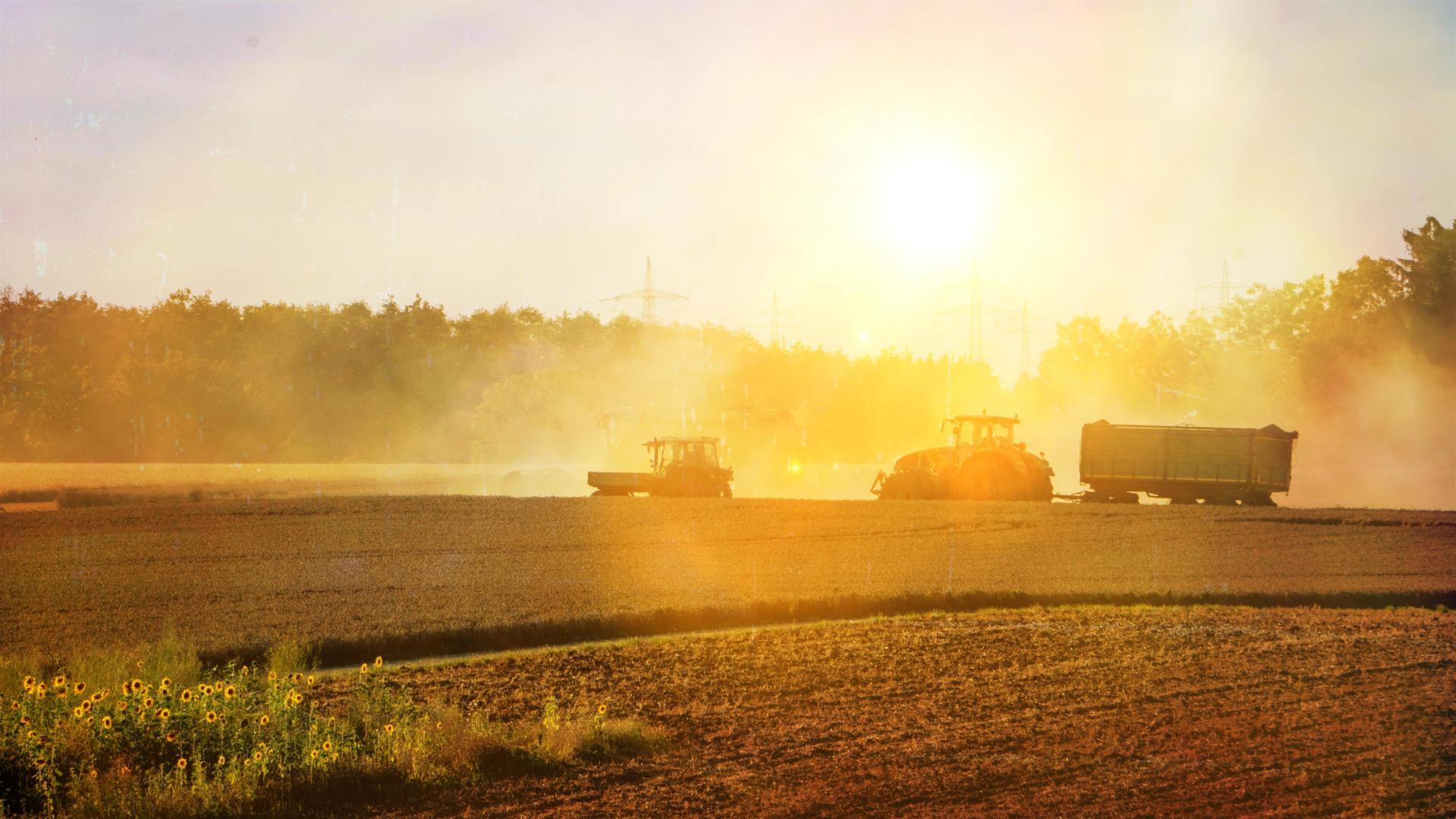 Zwei Traktoren arbeiten bei Sonnenuntergang auf einem Feld.
