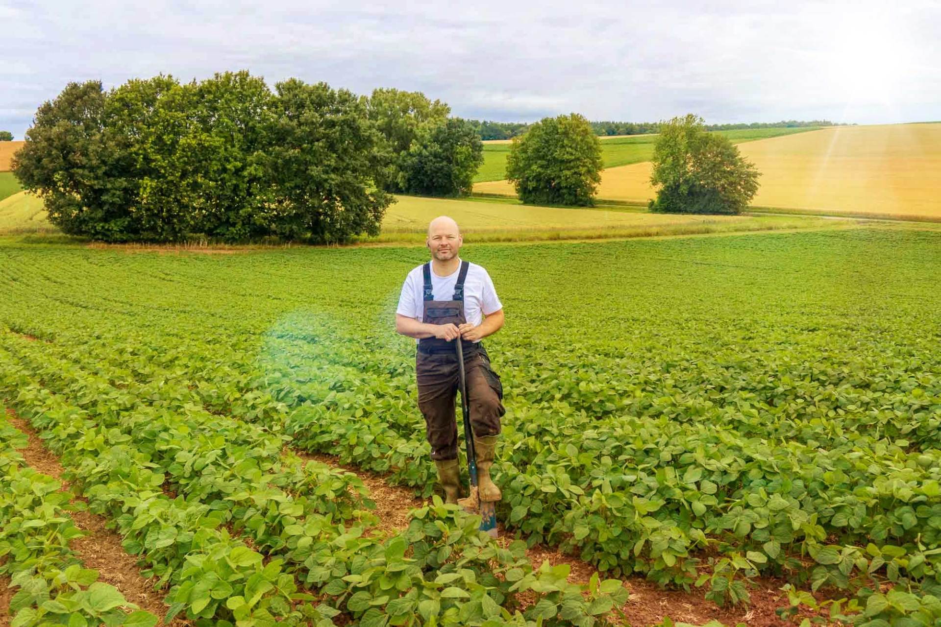 Ein Mann steht auf einem Feld mit grünen Pflanzen.