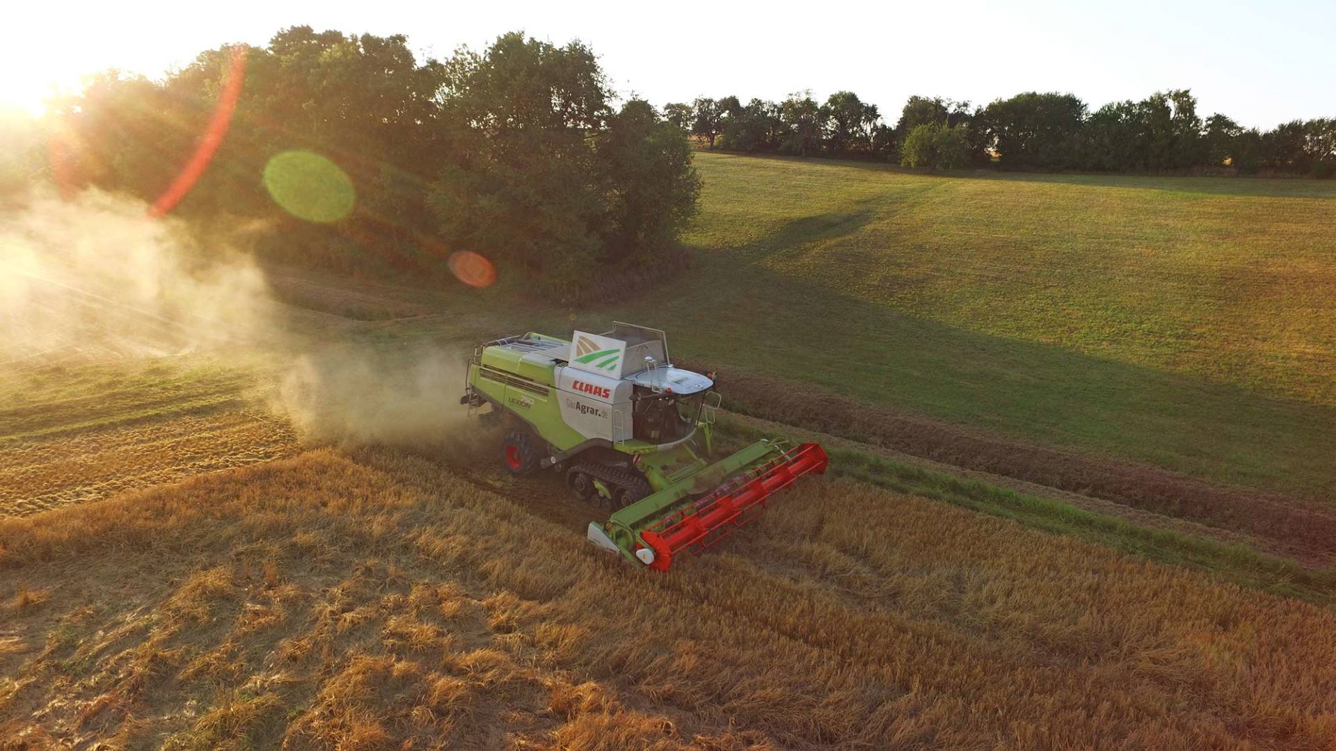 Eine Luftaufnahme eines Mähdreschers bei der Arbeit auf einem Weizenfeld.