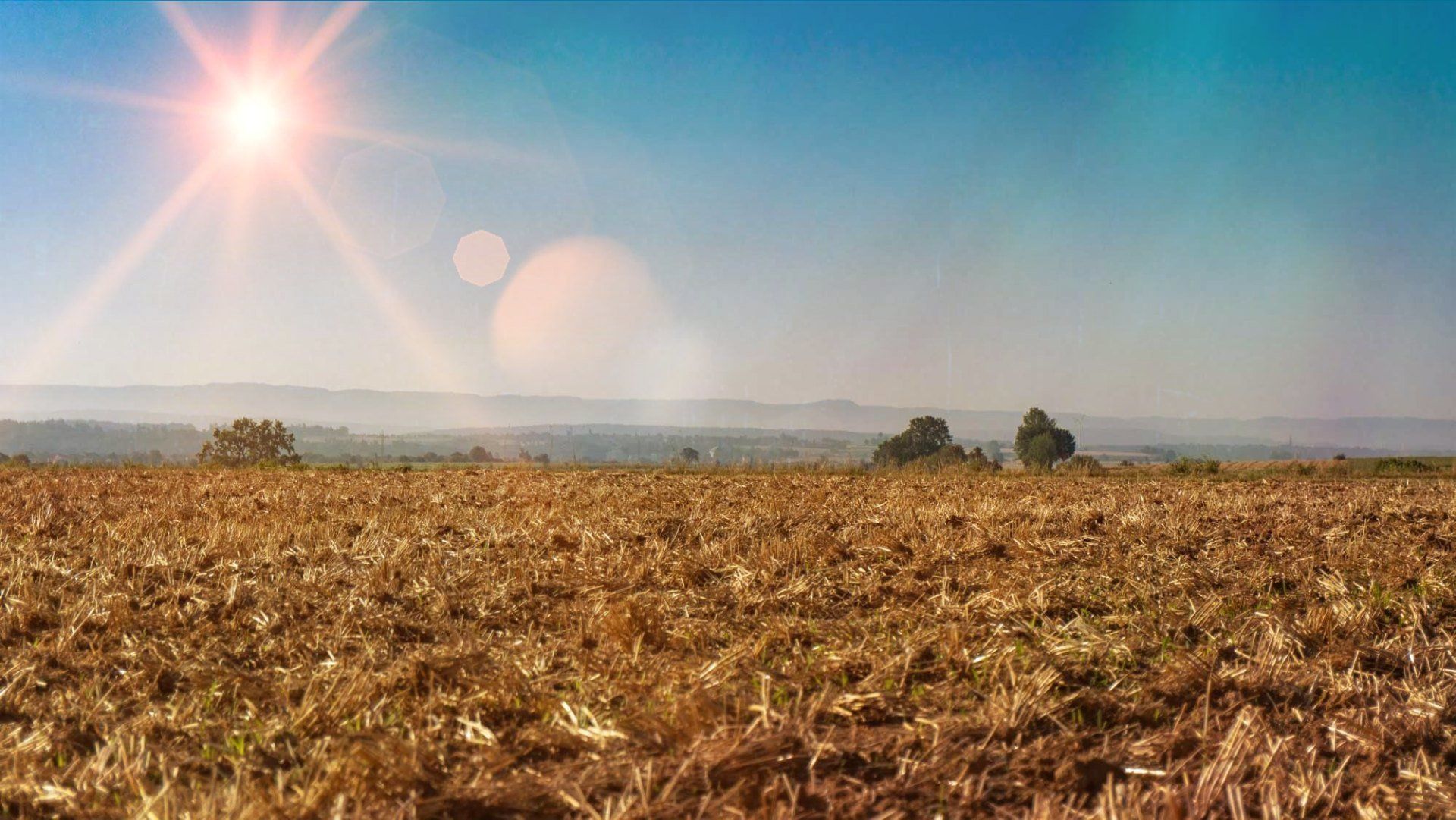 Die Sonne scheint hell über ein Feld mit trockenem Gras.