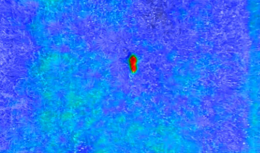 Ein Wärmebild einer Person, die auf einer blauen Oberfläche steht.