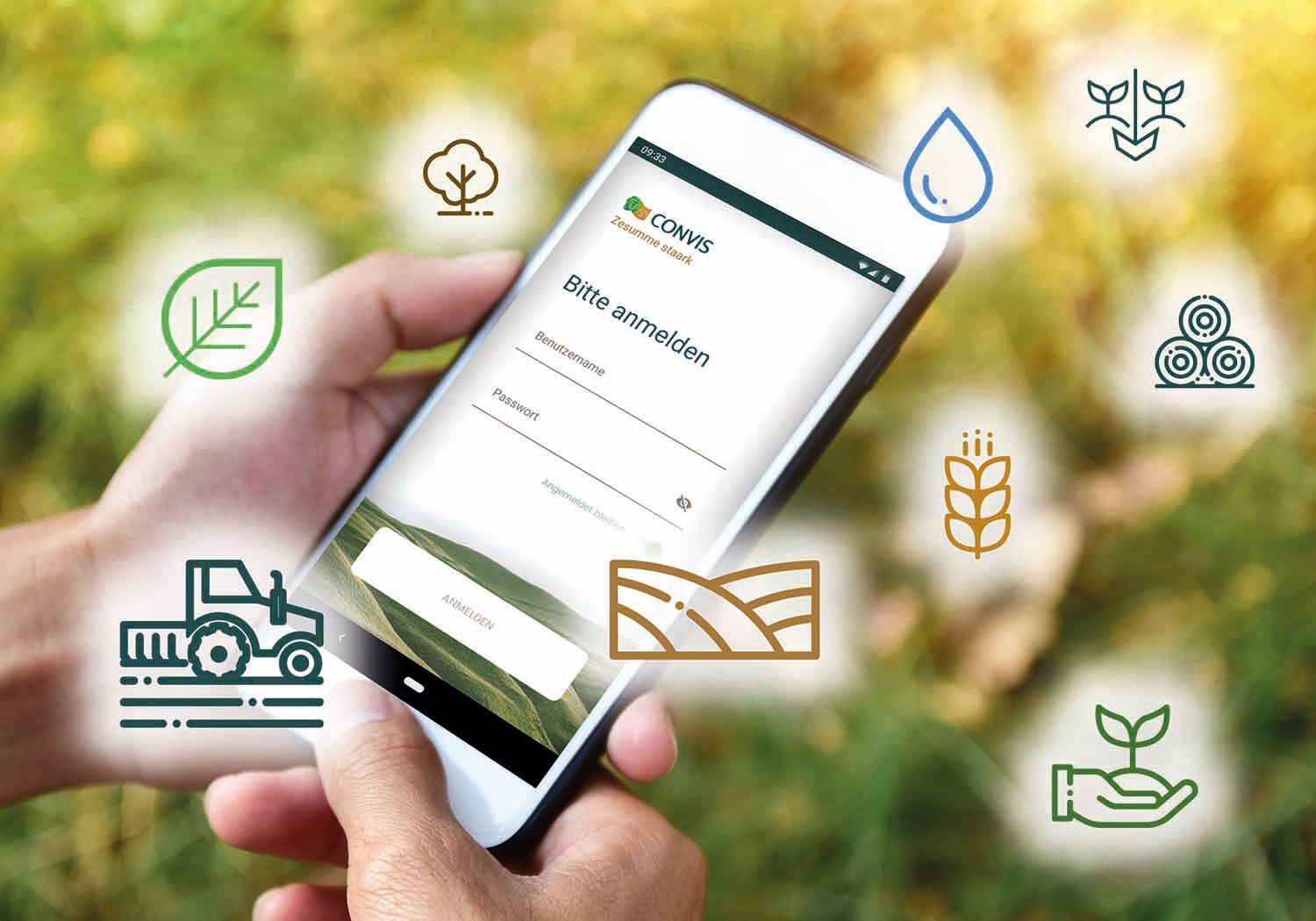 Eine Person hält ein Mobiltelefon in der Hand.