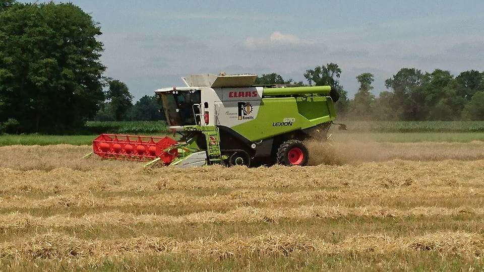 Ein Claas Mähdrescher arbeitet auf einem Feld