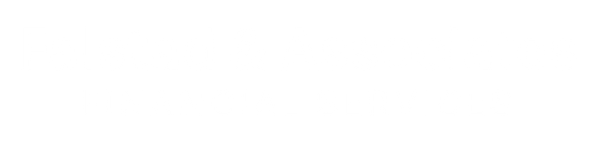 George Nelson logo