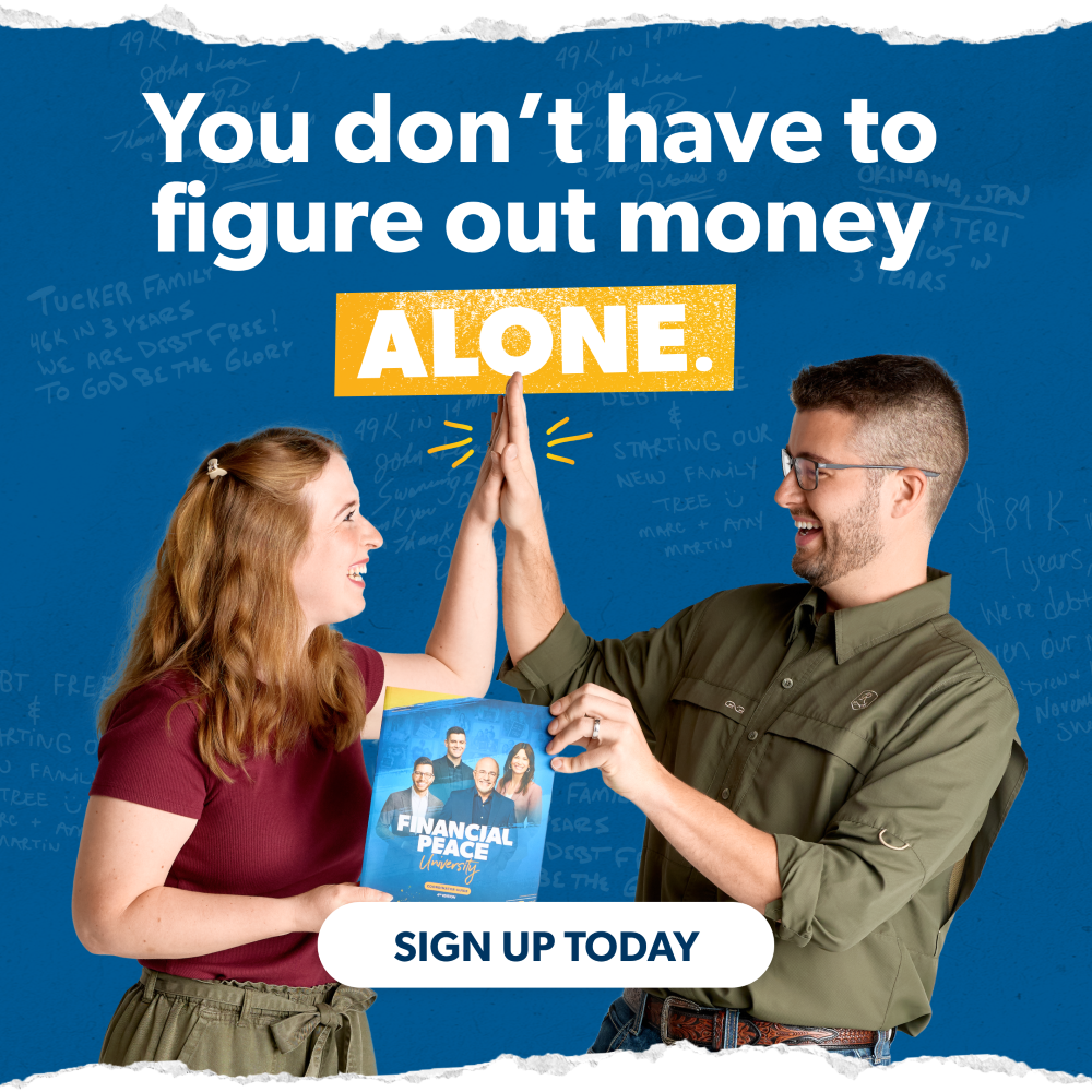 Close-up of a green palm leaf with parallel lines, lit by sunlight, creating shadows.