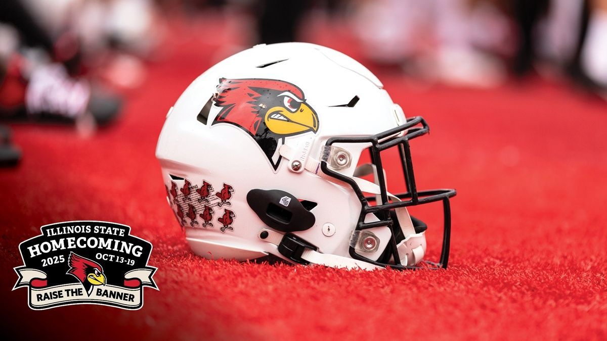 Close-up of a green palm leaf with parallel lines, lit by sunlight, creating shadows.