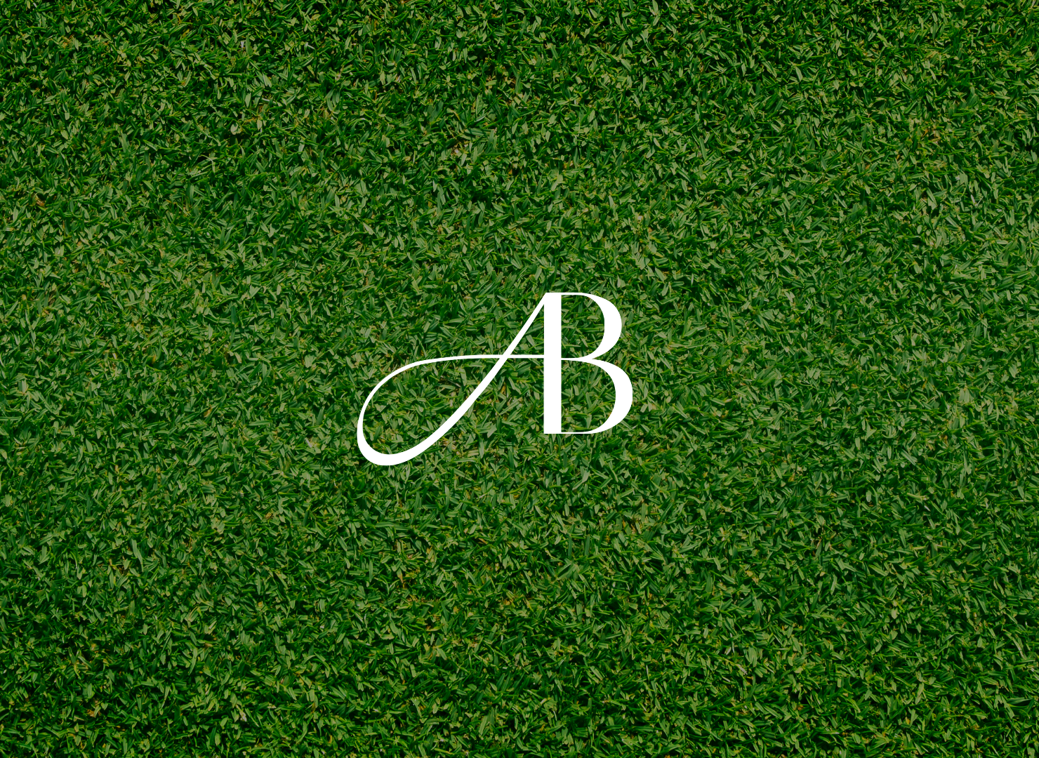 The letters ab is written in white on a green field.