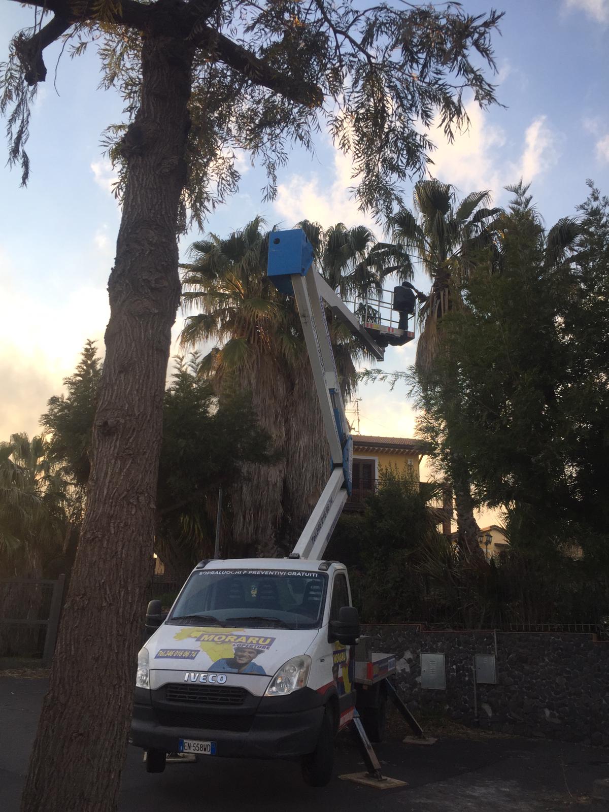 mezzo con cestello a noleggio 4