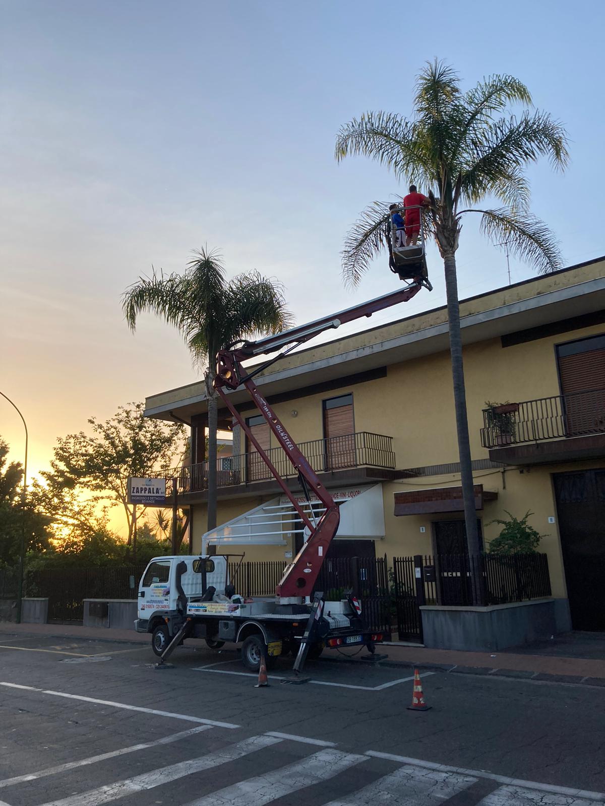 mezzo con cestello a noleggio 3