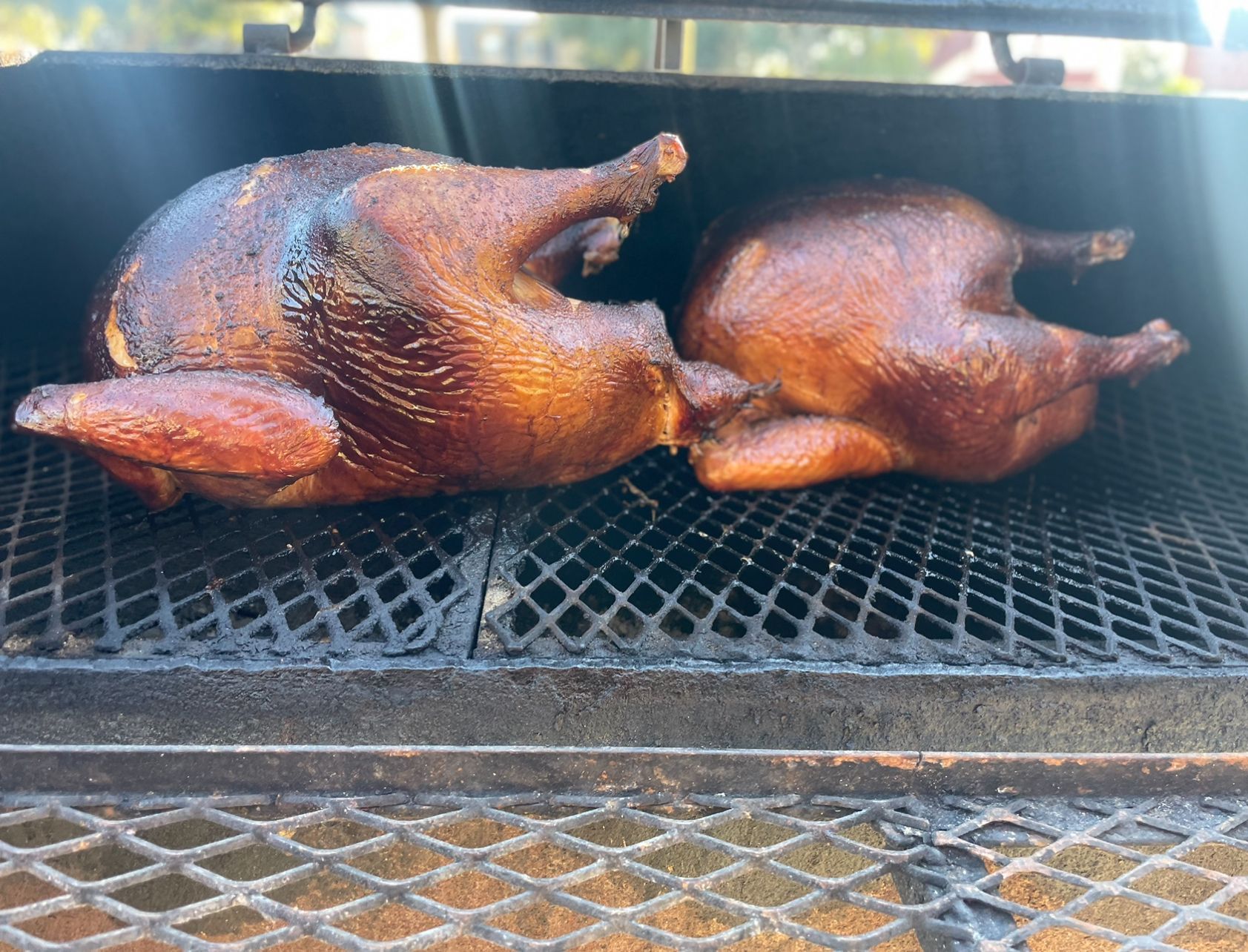 Two turkeys are being cooked on a grill.