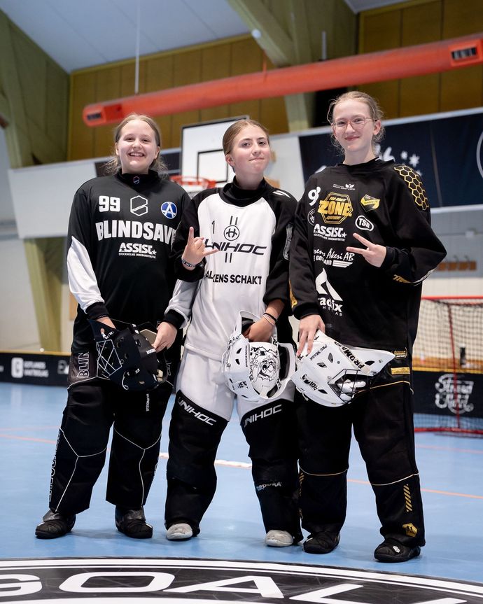 Goalie Camp Gotland