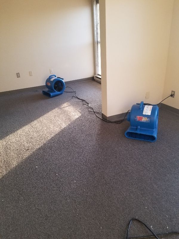 Two blue dryers are sitting on a carpeted floor in an empty room.