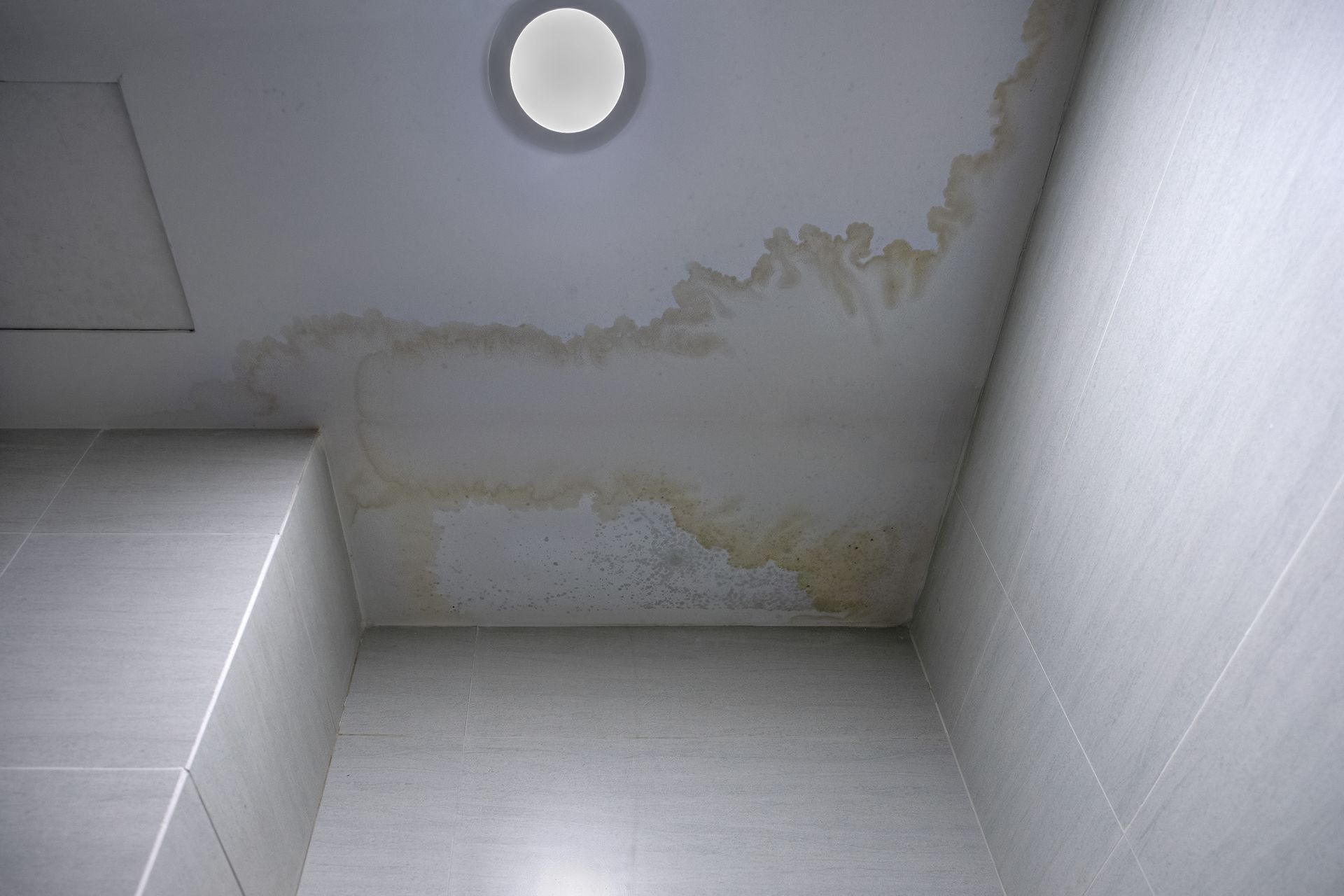 Water-damaged bathroom ceiling with brown stains and white tiles.