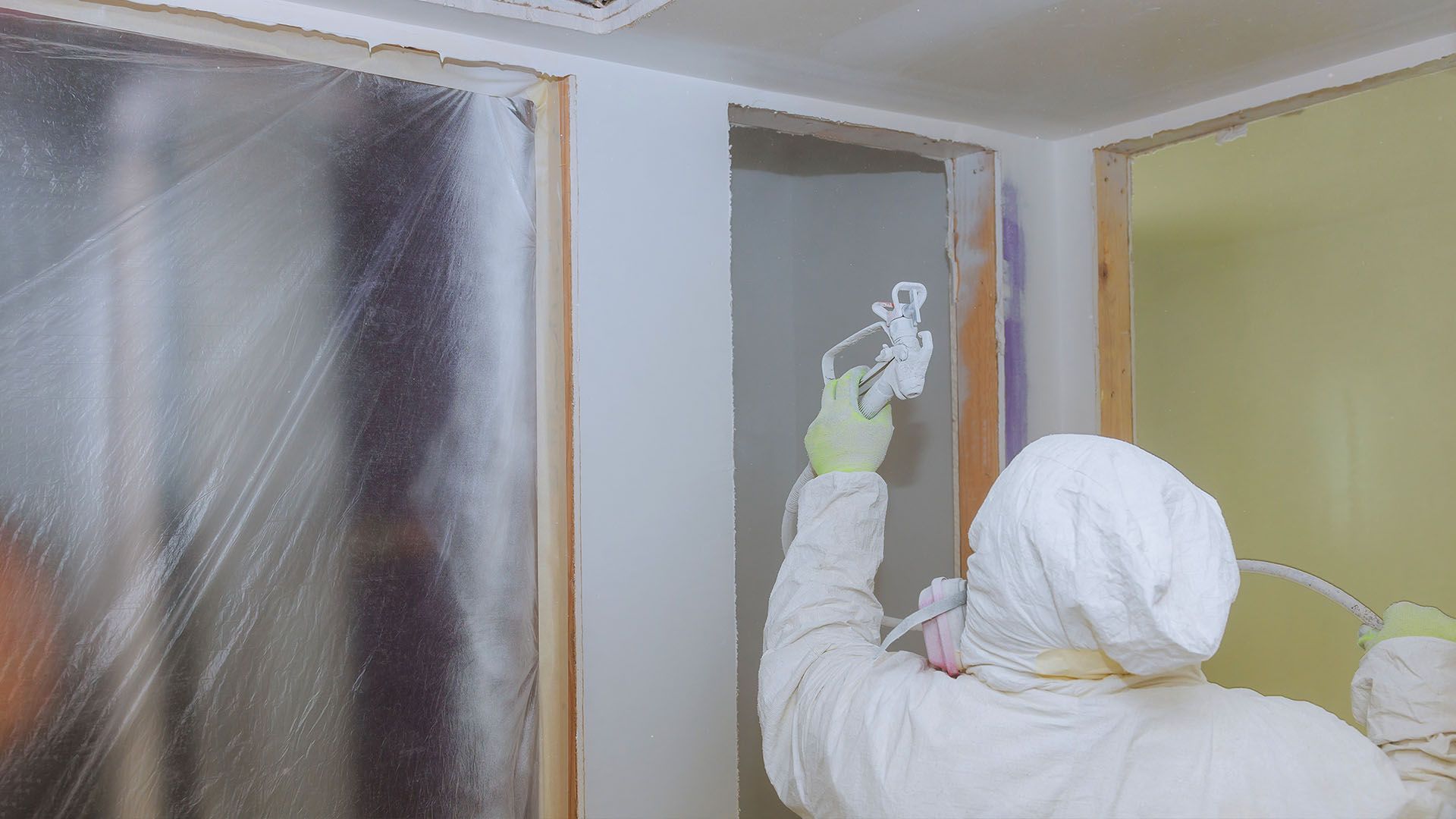 Mold remediation