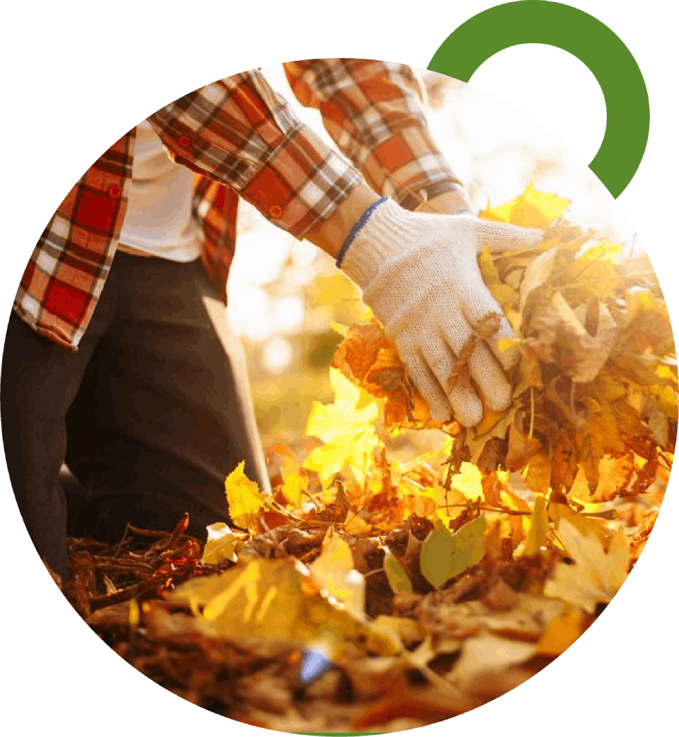 SOUTHWEST GROUNDS AND GARDENS PTY LTD