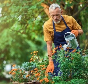 SOUTHWEST GROUNDS AND GARDENS PTY LTD