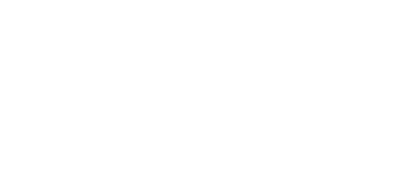 white logo copy