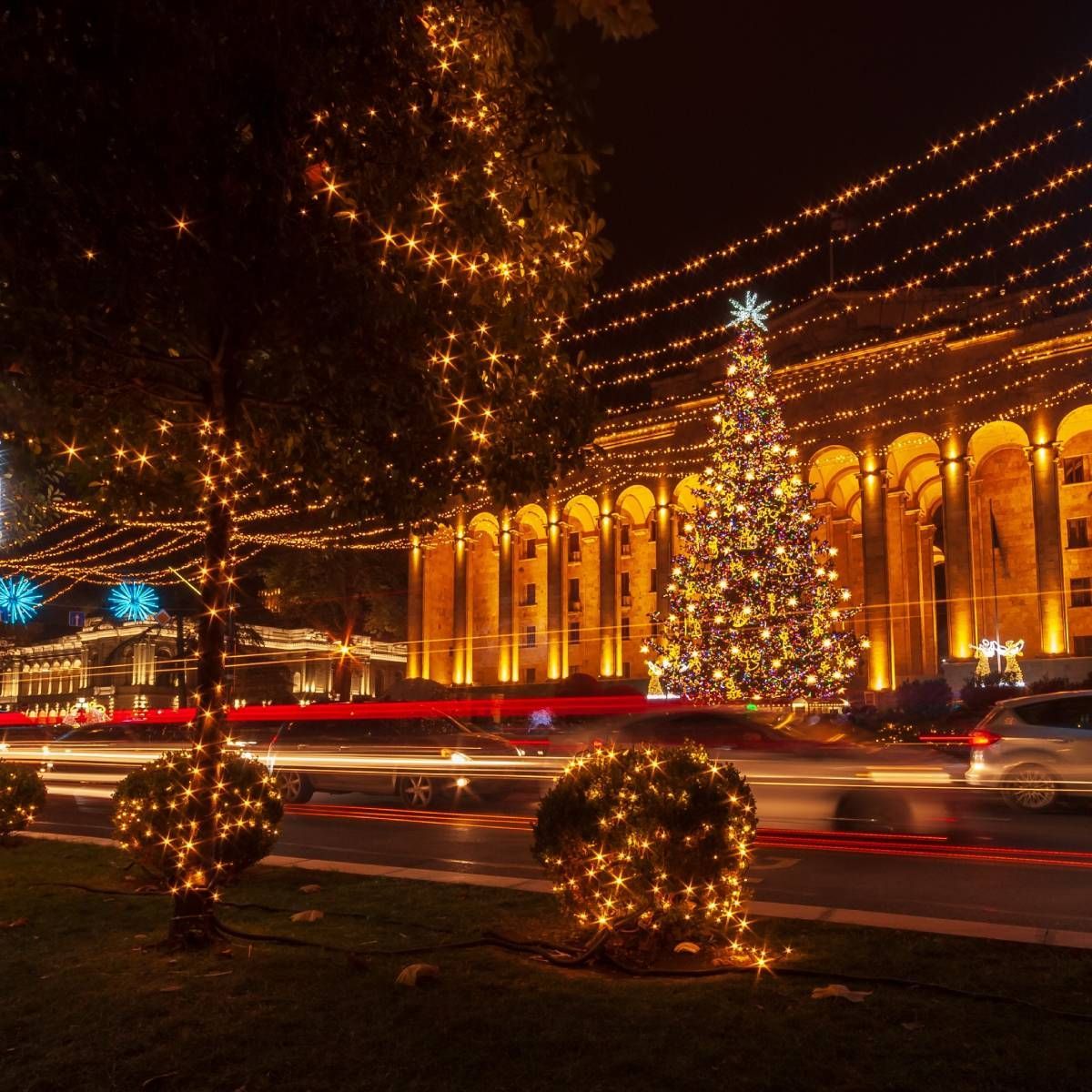 A night scene of a city square with a Christmas tree lit up and buildings in the background.