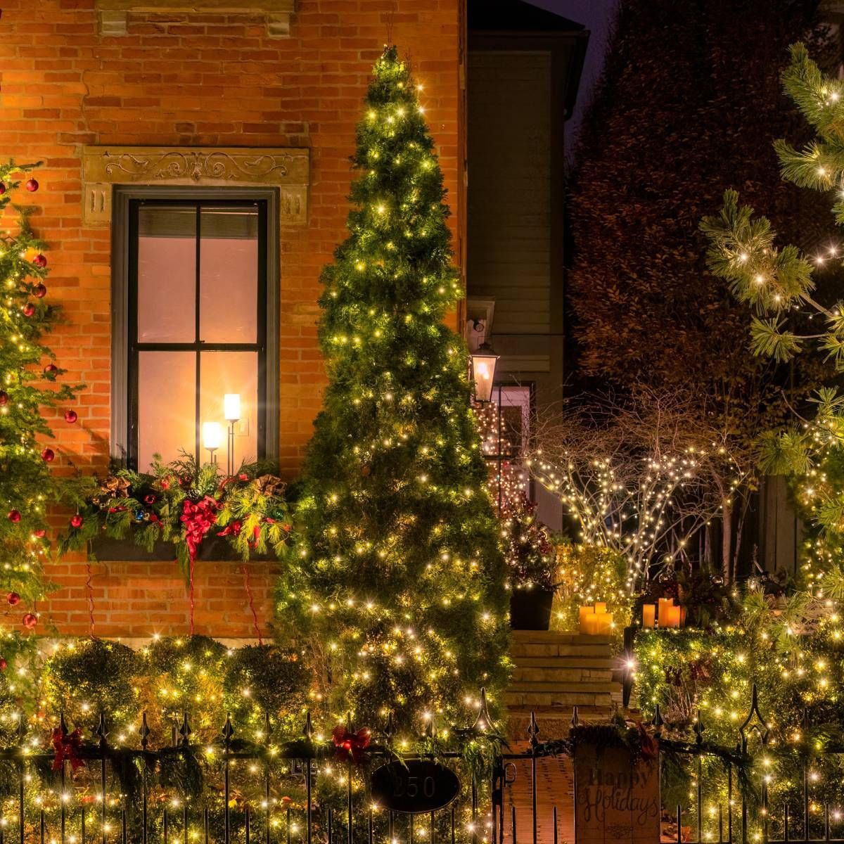 House decorated with Christmas lights at night; a tall tree in front.