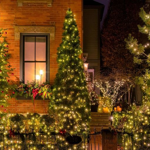 House decorated with Christmas lights at night; a tall tree in front.
