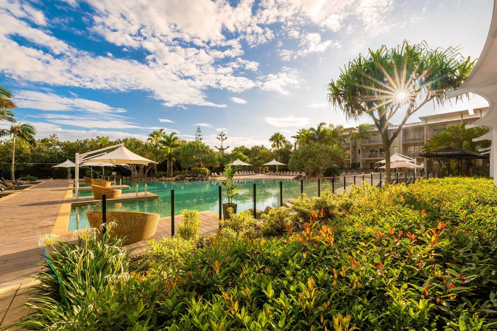 A large swimming pool surrounded by trees and bushes in a resort.