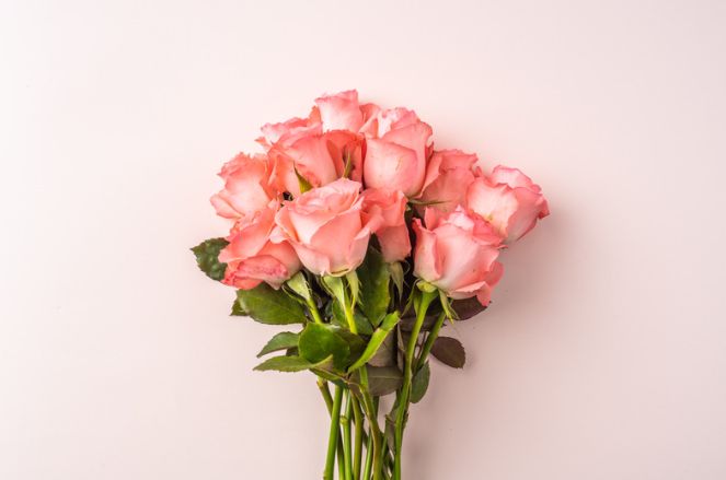 A bouquet of pink roses in a vase on a white background.