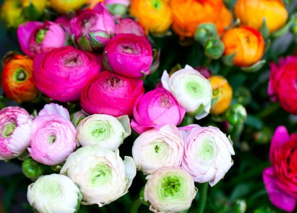 A bunch of colorful flowers are sitting on top of each other on a table.