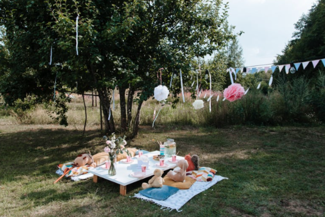 A picnic is being held in the grass in a park.