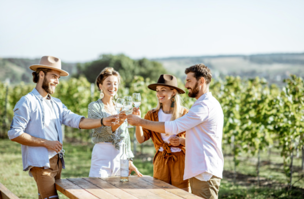 A group of people are toasting with wine glasses in a vineyard.