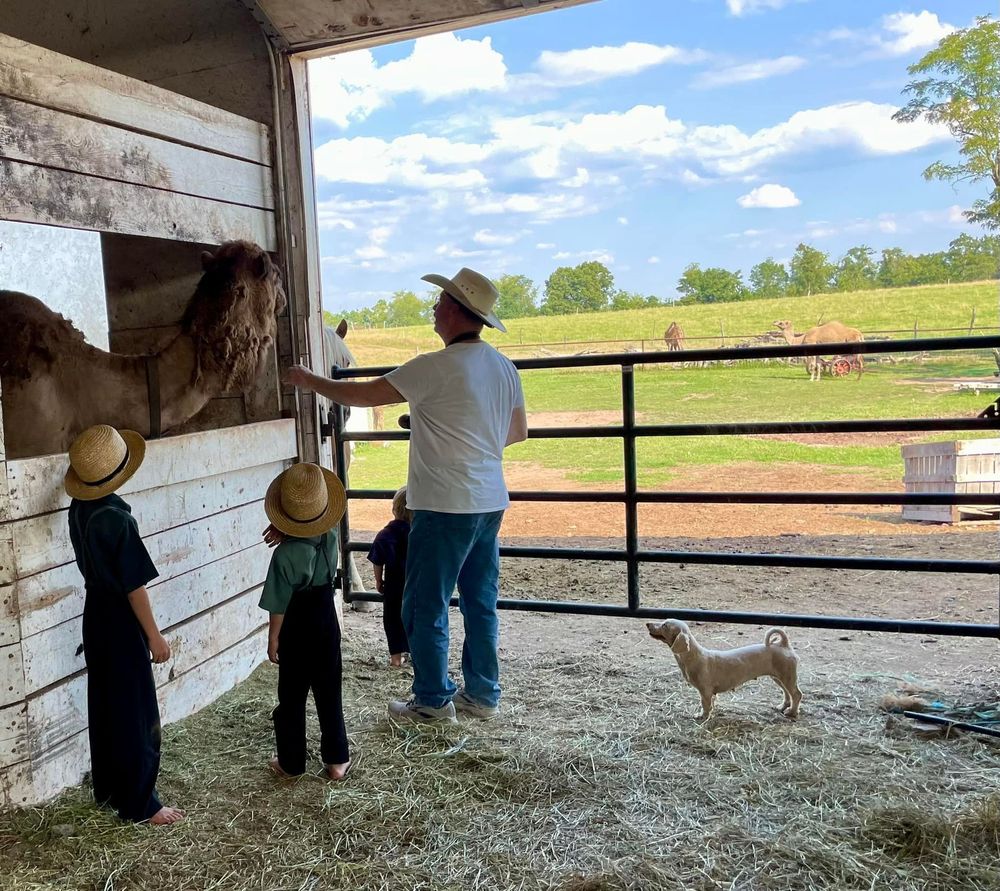 A person and two children in straw hats look at a camel in a barn, while a small dog stands nearby on the hay-covered floor.