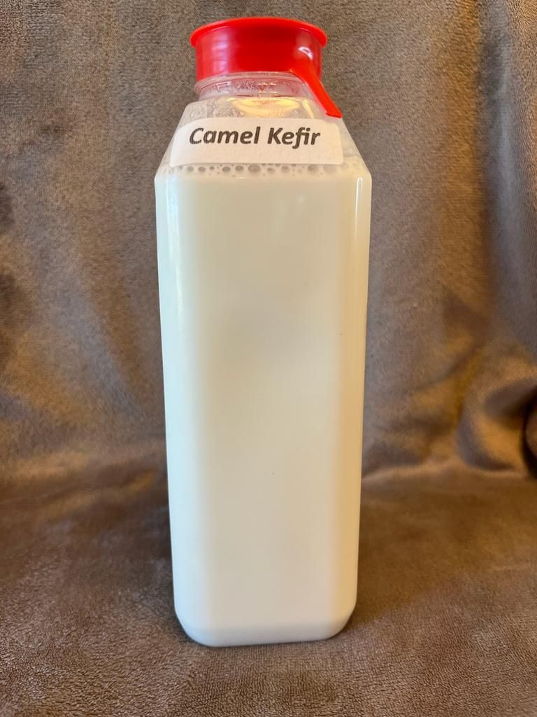Fresh Camel Milk - Kefir (1 pint)