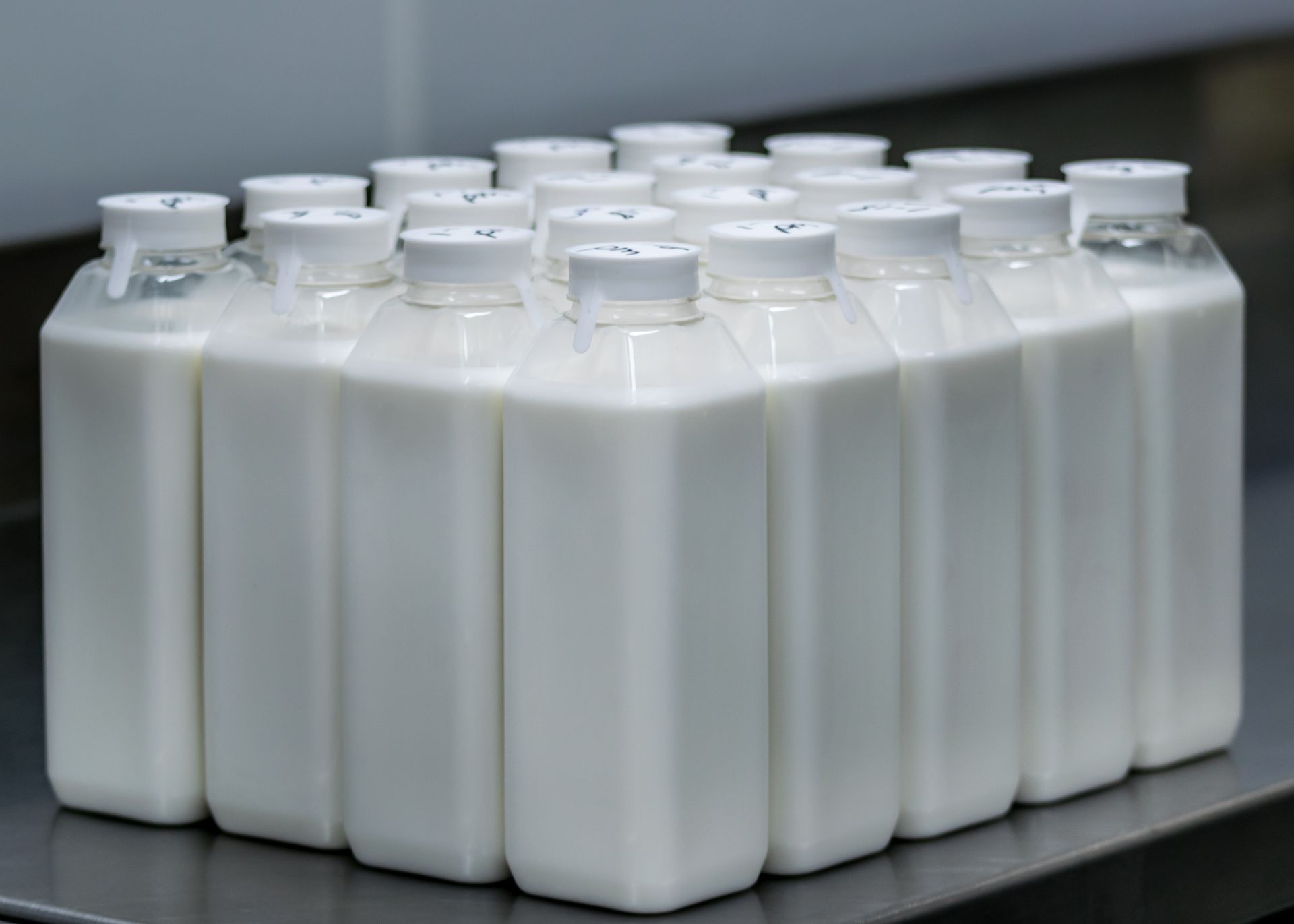 A grid of clear, square bottles filled with white liquid, arranged in rows on a metal surface.
