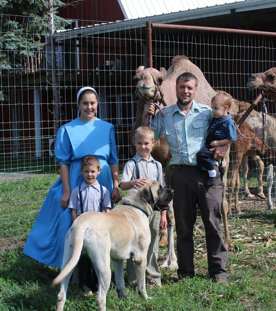 A family poses with a large dog in front of camels at an outdoor enclosure.