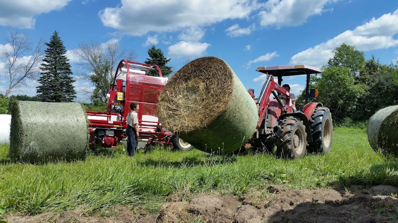 A person in a field uses a tractor with a front loader to move a large round hay bale near a piece of red farm machinery.