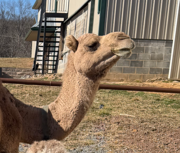 Herd Share Membership