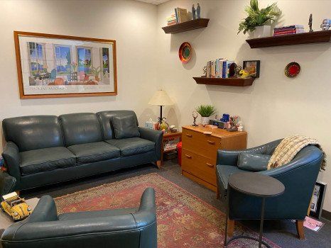 Black Sofa in Clinic — Park Ridge, IL — Athans and Associates
