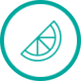 A turquoise circle with a turquoise outline of a citrus wedge.
