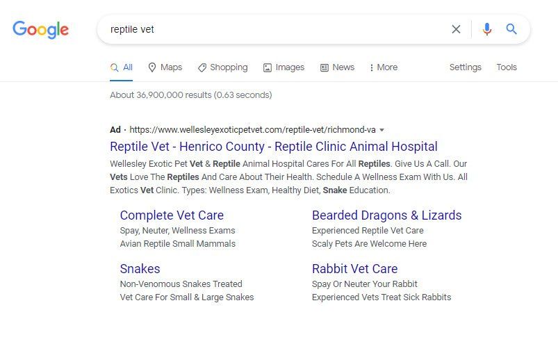 image of google ad in search results