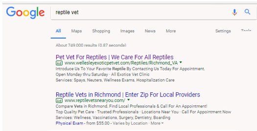 A google search for pet vet for reptiles is shown.