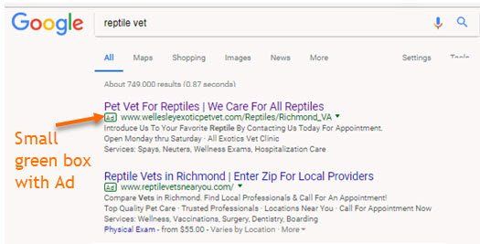 A google search shwoing a sponsored ad for reptiles.