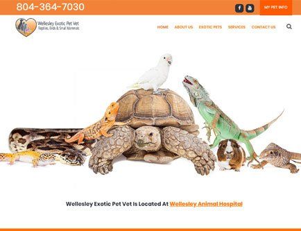 A turtle is surrounded by lizards, hamster, snake  and a bird on a website.