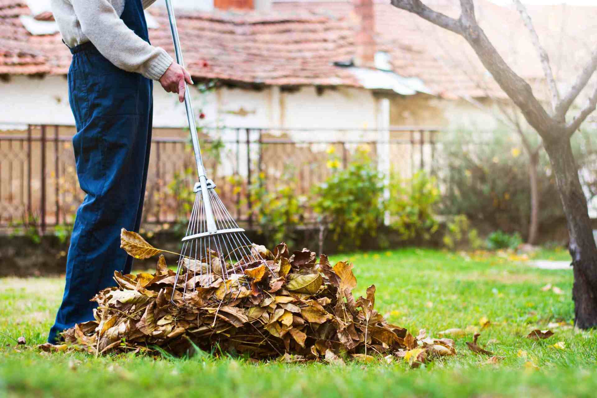 Gärtner beim Laub rechen im Garten