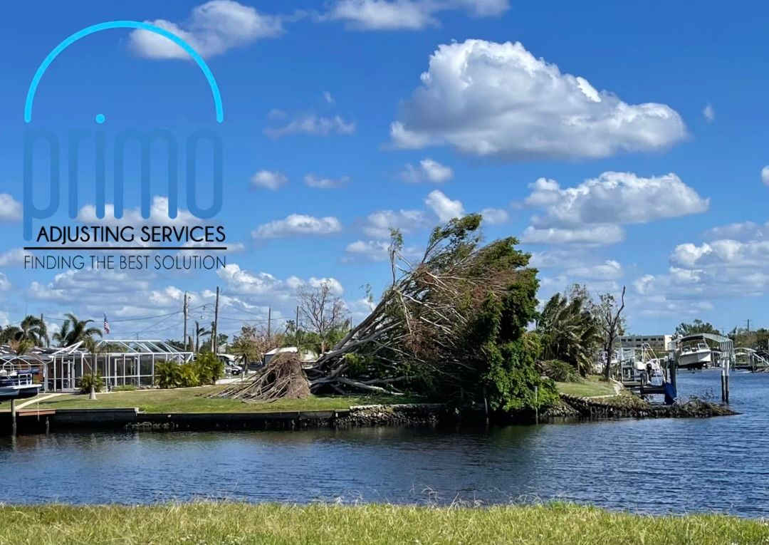 A small island in the middle of a body of water.